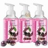 Bath & Body * | Lovery Set Of 3 Foaming Hand Soaps In Black Cherry, Hand Wash For All Skin Types Women